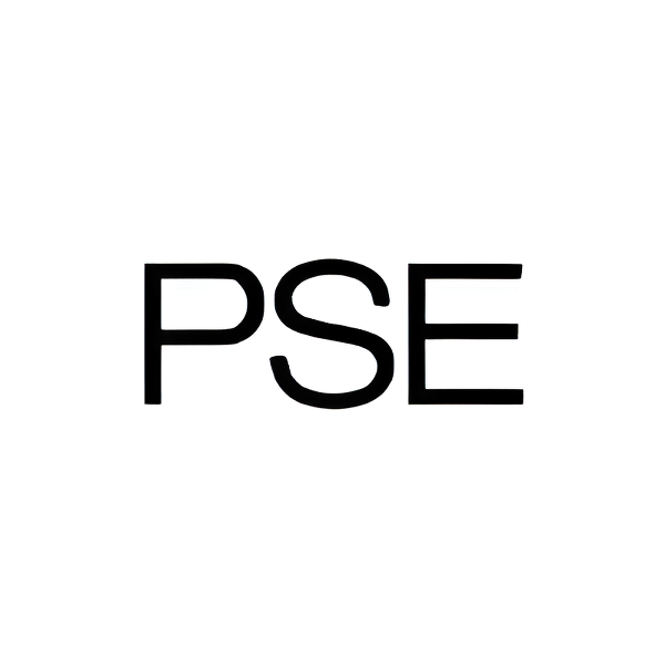 Porsche SE-Logo